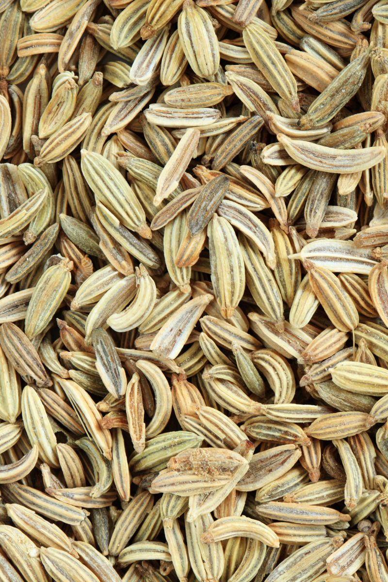 Fennel seeds