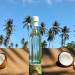 The Full Process of Virgin Coconut Oil: From Farming to Processing to Packaging