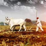 Farming and Food Processing: Where Tradition Meets Technology