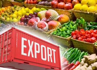 AgriExports-24-7-2021